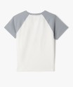 24WADAI gris
