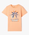 36TATIRA1 orange