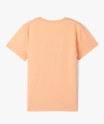 36TATIRA1 orange