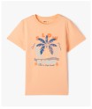 36TATIRA1 orange