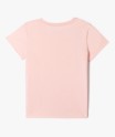 35WARIL rose