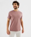 16PONAC rose