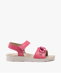 81TACA rose