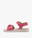 81TACA rose