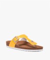 19TAXIMO jaune