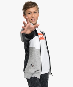 GEMO Sweat tricolore garçon avec fermeture zippée et capuche gris standard