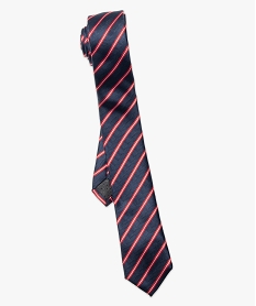cravate homme a rayures bicolores imprime9074801_2