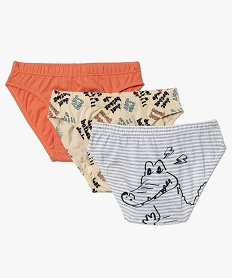 slips garcon imprimes en coton bio (lot de 3) multicoloreA603601_1