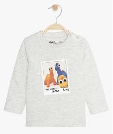 GEMO Tee-shirt bébé garçon imprimé fantaisie Gris