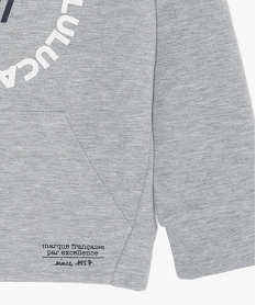 sweat garcon a capuche avec inscription – lulu castagnette gris sweatsB654301_3