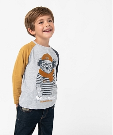 GEMO Tee-shirt garçon à manches longues et imprimé - LuluCastagnette Multicolore