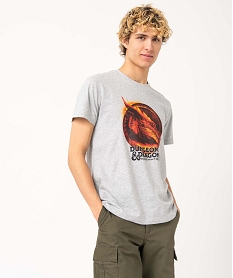 GEMO Tee-shirt homme à manches courtes chiné et imprimé - Donjons et Dragons Gris