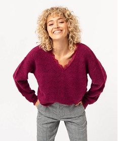 pull ajoure avec col v en dentelle femme violet pullsJ162001_1