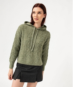 pull a capuche a torsades femme vertJ426401_1