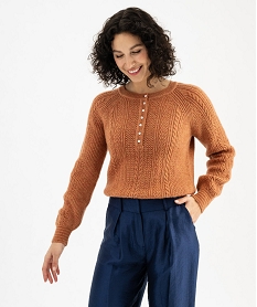 GEMO Pull  en maille fantaisie avec col rond à boutons femme Brun