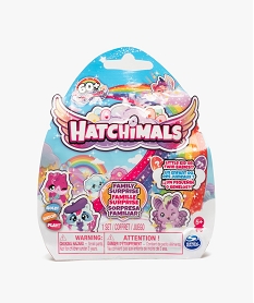 figurine a collectionner famille surprise - hatchimals multicoloreQ092401_1