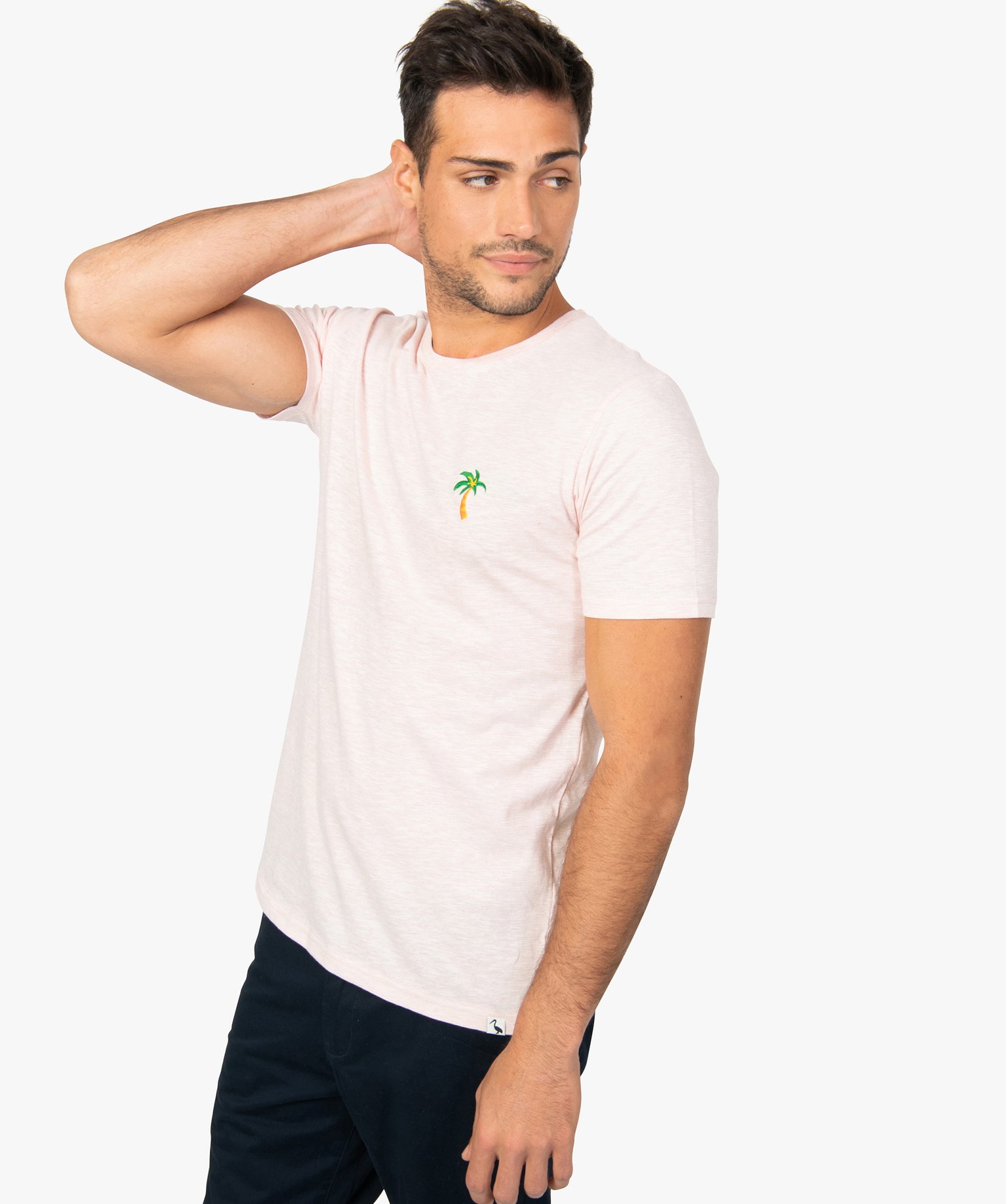 Gemo Vêtements Tops & T-shirts T-shirts Manches courtes Polo bébé garçon avec manches contrastantes – 